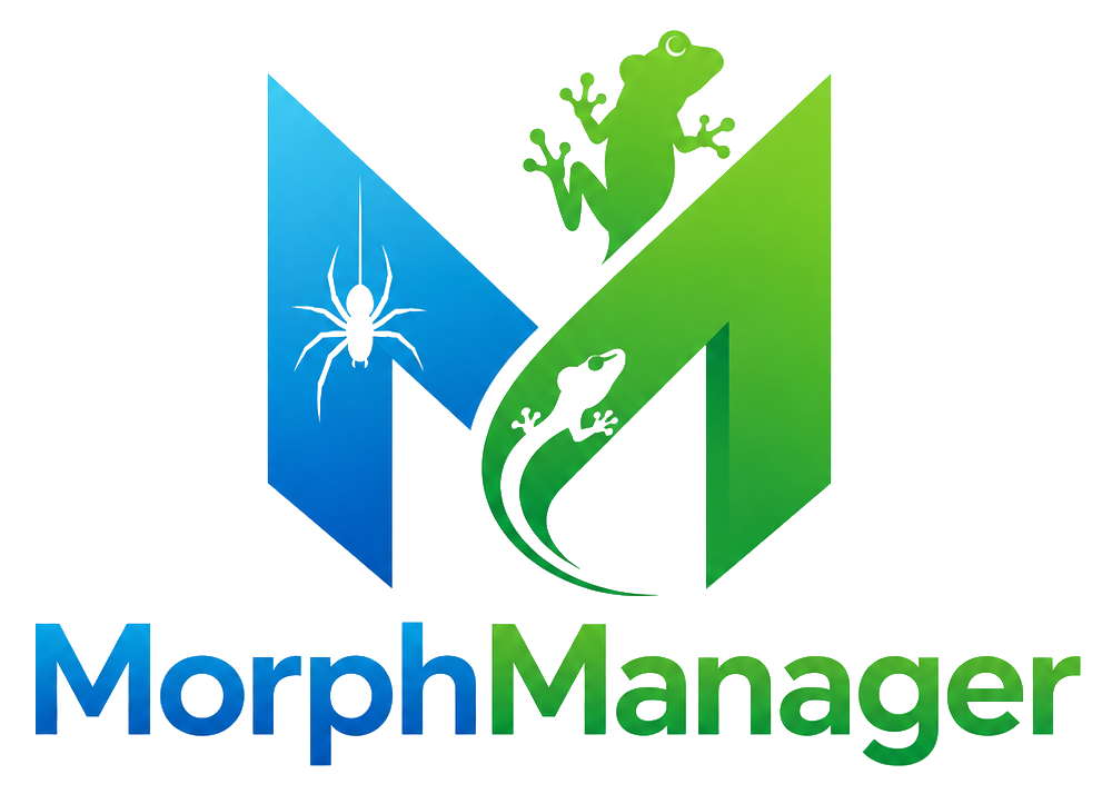 MorphManager